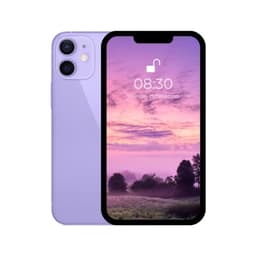 iPhone 12 mini